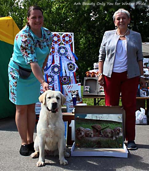 Лабрадор Arh Beauty Only You for Winter Pride