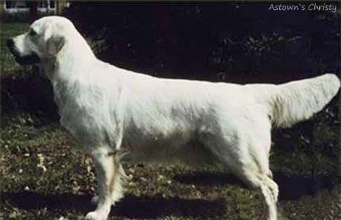 Astown's Christy