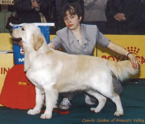 Camilo Golden of Franco's Valley