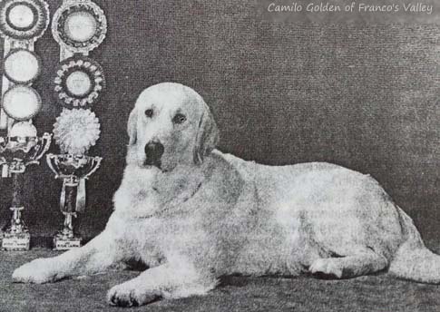Camilo Golden of Franco's Valley