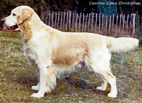 Camrose Cabus Christopher