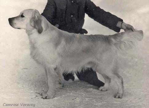 Camrose Voravey