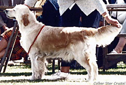 Colbar Star Crystal