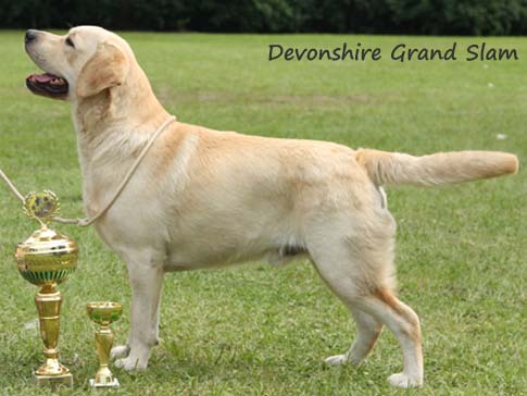 Devonshires Grand Slam