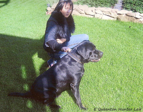 Лабрадор E`Queenton Hunter Leir