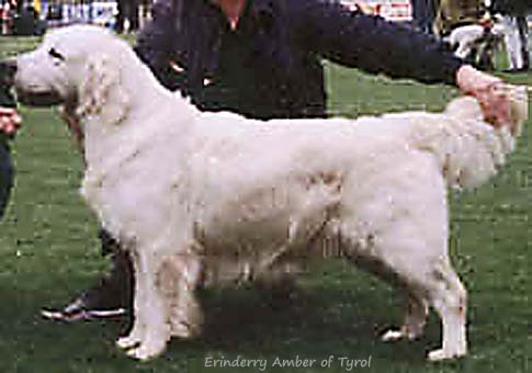 Erinderry Amber Of Tyrol