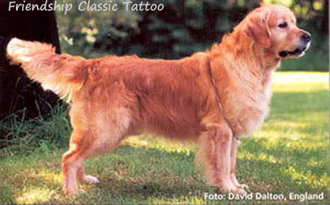 Friendship Classic Tattoo 