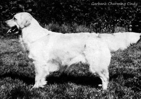 Garbank Charming Cindy