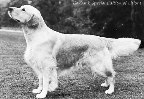 Garbank Special Edition of Lislone