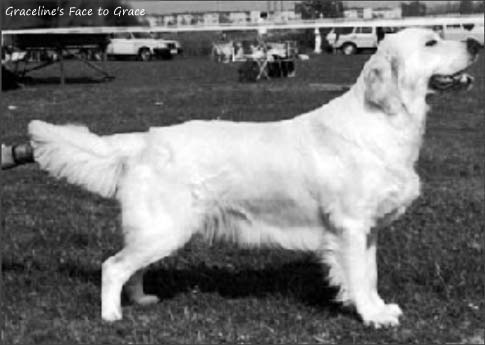 Graceline's Face to Grace