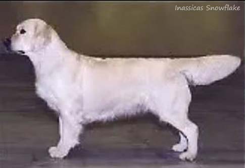 Inassicas Snowflake