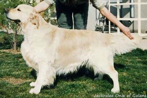 Jackralee Onyx of Galans