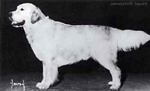 Jamescroft Squire