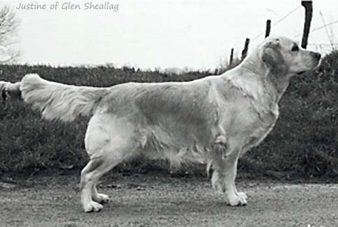 Justine of Glen Sheallag