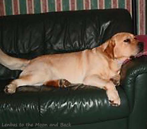 Lembas To The Moon And Back