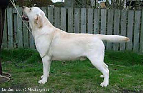 Lindall Court Masterpiece