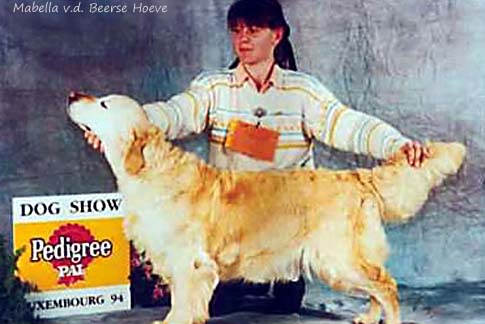 Mabella v.d. Beerse Hoeve