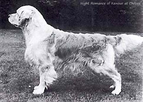 Night Romance of Kenour at Chilzer