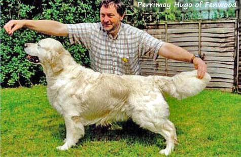 Perrimay Hugo Of Fenwood