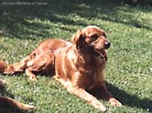 Princess Christina Of Kansas