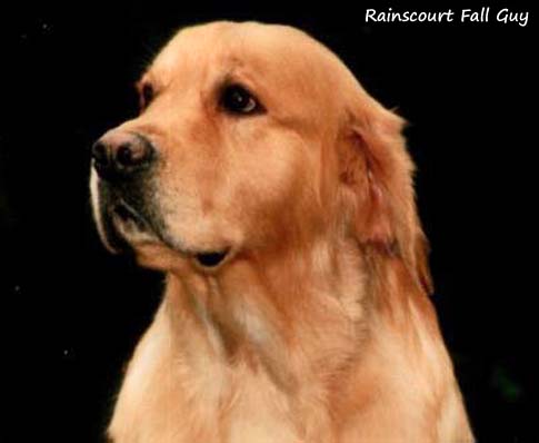 Rainscourt Fall Guy
