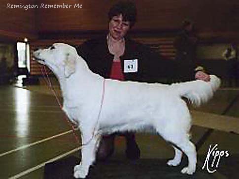Remington Remember Me