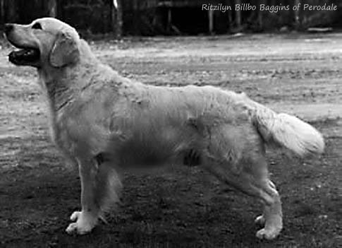 Ritzilyn Billbo Baggins of Perodale