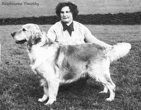Rossbourne Timothy 