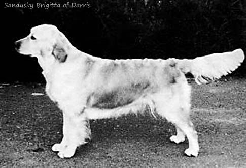 Sandusky Brigitta Of Darris