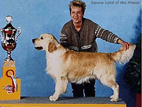 Sansue Lord Of The Manor