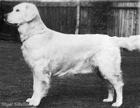 Styal Sibella