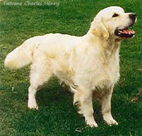 Tasvane Charles Henry