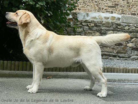 Uncle Jo de la Legende de la Loutre