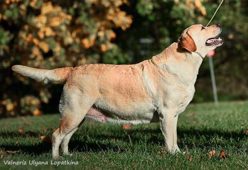 Valneriz Ulyana Lopatkina