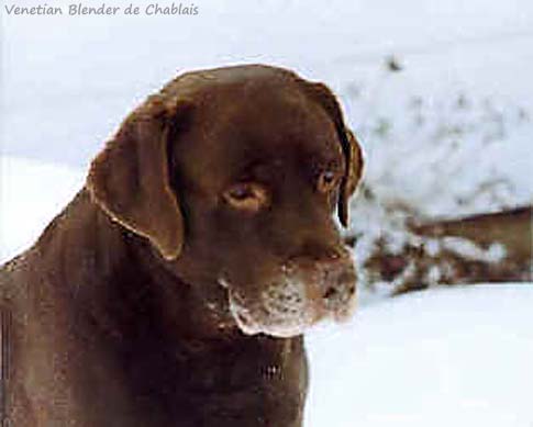 Venetian Blender de Chablais