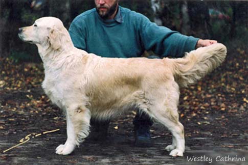 Westley Cathrina