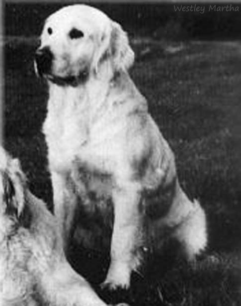 Westley Martha