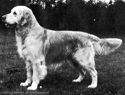 Westley Munro of Nortonwood