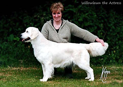 Willowlawn The Actress