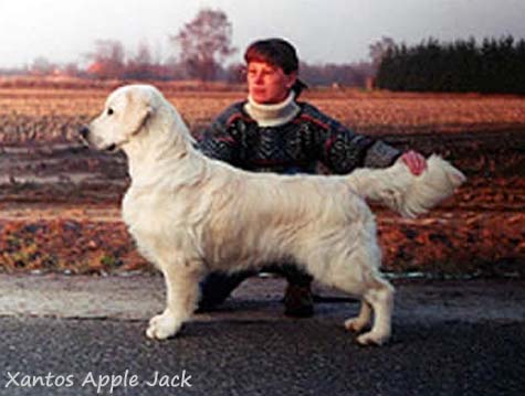 Xanthos Apple Jack