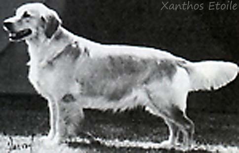 Xanthos Etoile