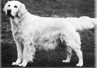 фото голдена Clarissa of Westley
