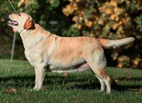 фото Valneriz Ulyana Lopatkina