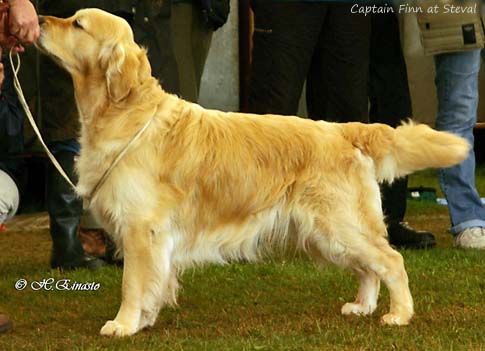 Captain Finn at Steval