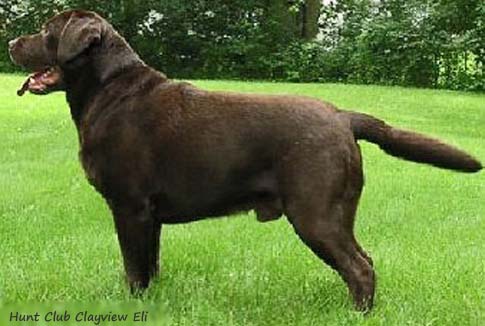 Hunt Club Clayview Eli