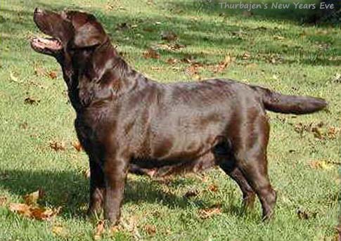 Thurbajen New Years Eve