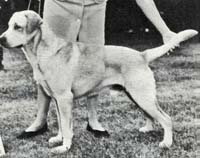 фото Spenrock Anthony Adverse